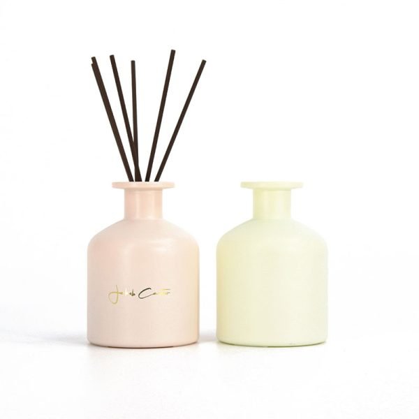 Empty Frosted Glass Reed Diffuser Bottle with Cap and Stick