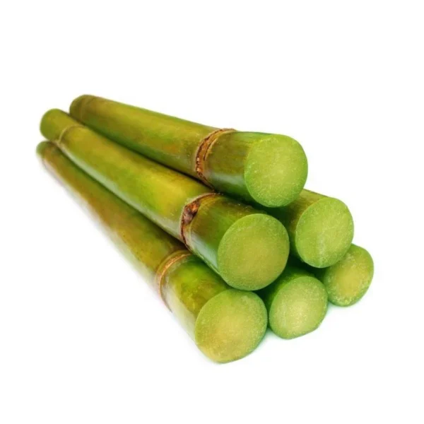 green PE bio-plastic squeeze tube