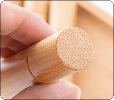 beautiful & elegant bamboo texture